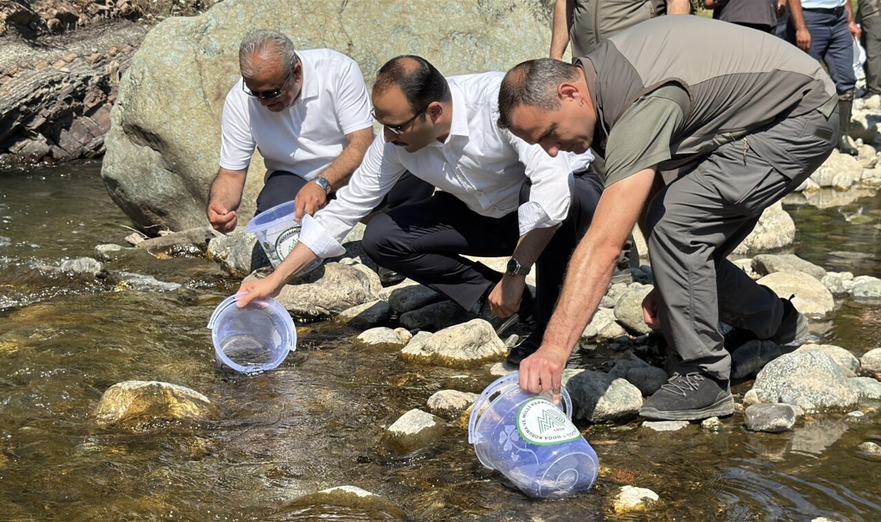 KASTAMONU (AA) – Kastamonu'nun Bozkurt ilçesinde 11 Ağustos 2021'de yaşanan