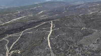 MUĞLA (AA) – Muğla'nın Seydikemer ilçesinde çıkan yangında zarar gören