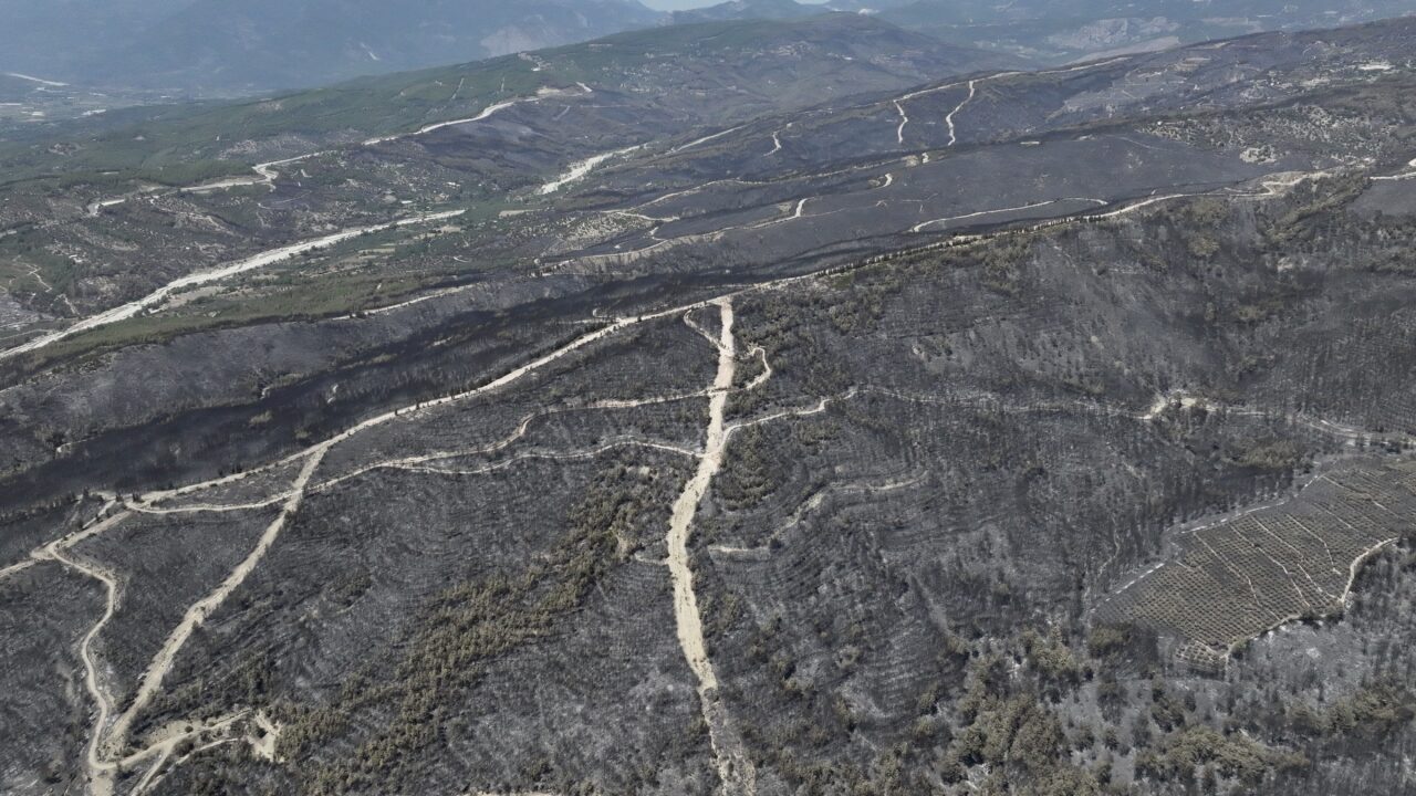 MUĞLA (AA) – Muğla'nın Seydikemer ilçesinde çıkan yangında zarar gören