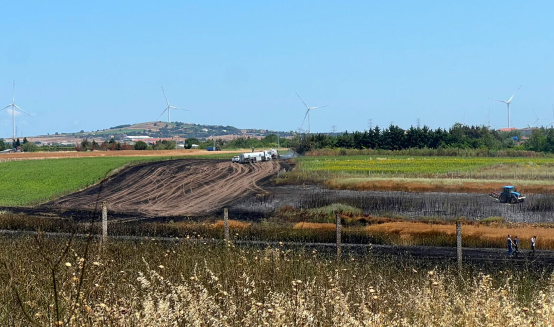İSTANBUL (AA) – Silivri'de bir köyde bulunan arazide çıkan ot