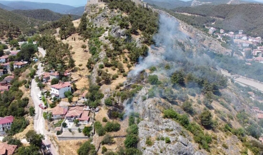 SİNOP (AA) – Sinop'ta, Boyabat Kalesi'nin eteklerinde çıkan örtü yangını,