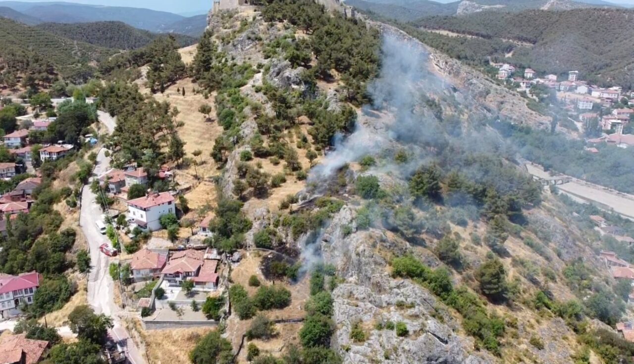 SİNOP (AA) – Sinop'ta, Boyabat Kalesi'nin eteklerinde çıkan örtü yangını,