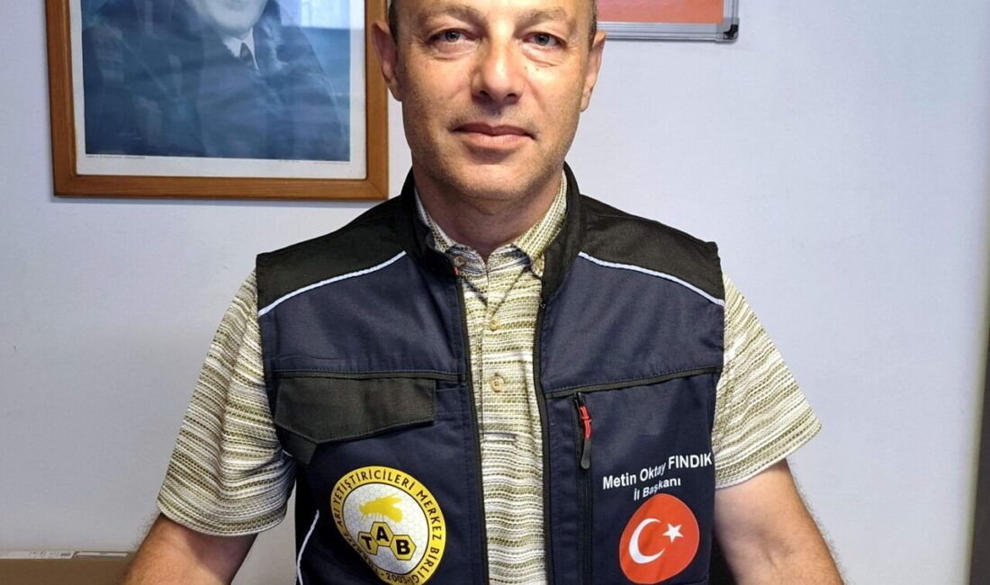 SİNOP (AA) – Sinop Arı Yetiştiricileri Birliği Başkanı Metin Oktay