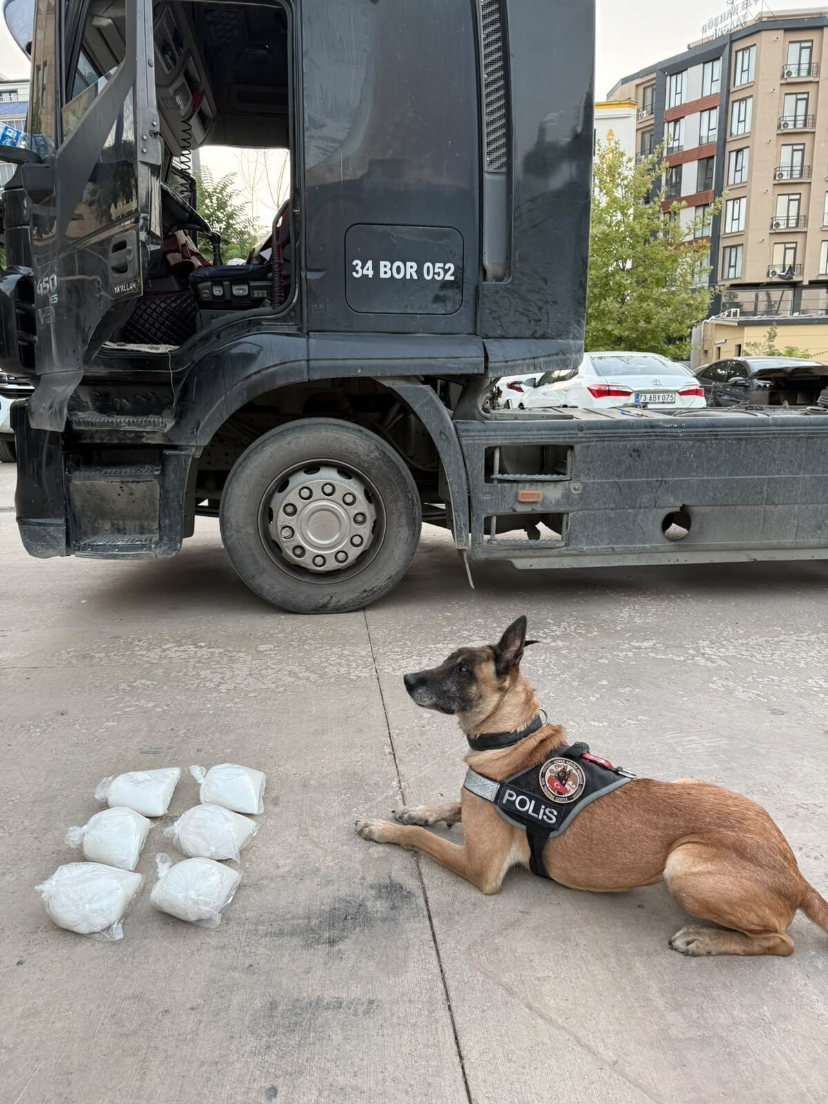 ŞIRNAK (AA) – Şırnak'ta bir tırda 5 kilo 800 gram