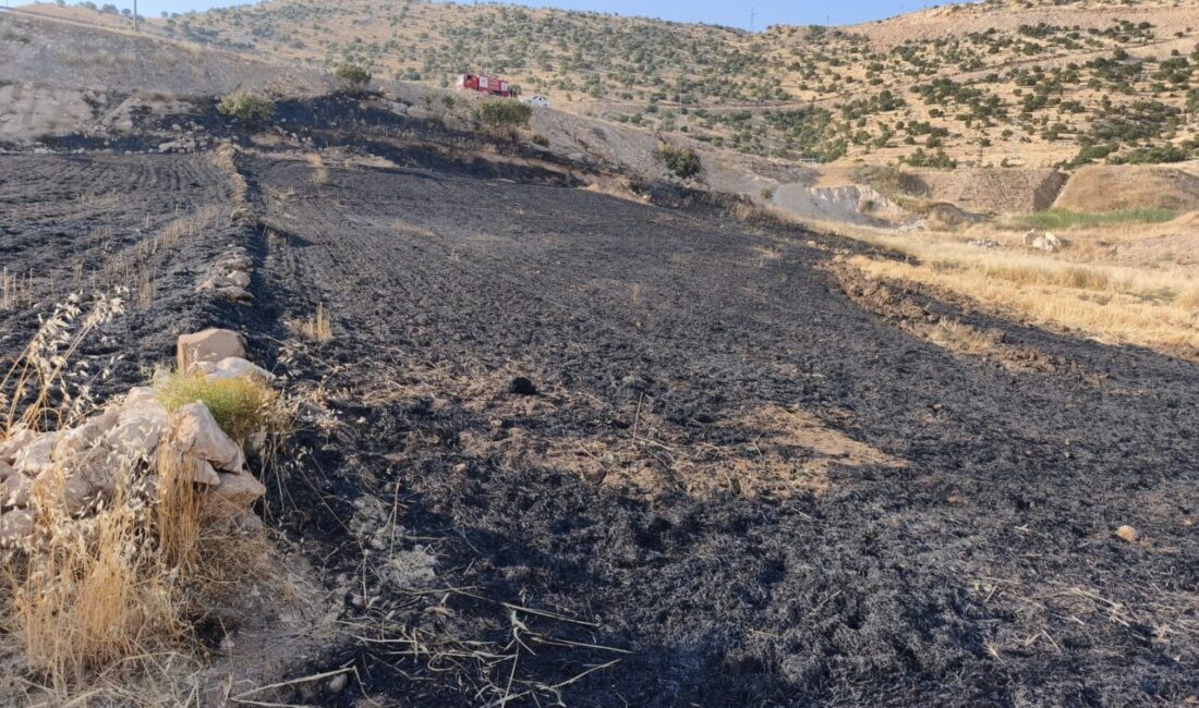 ŞIRNAK (AA) – Şırnak'ın Cizre ilçesinde çıkan anız yangınında yaralanan