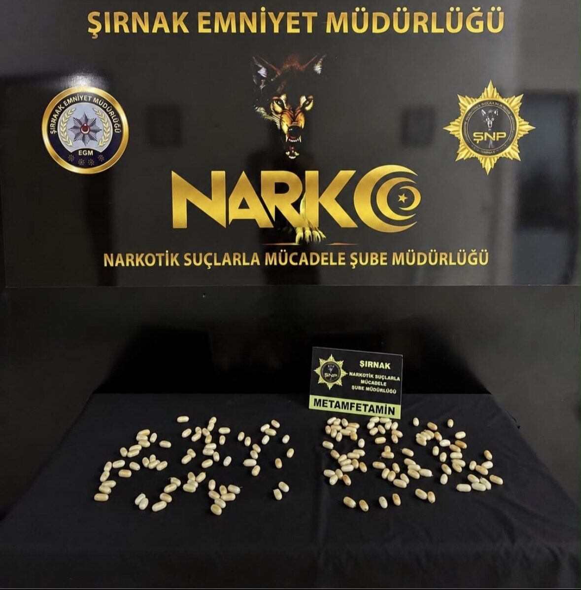 ŞIRNAK (AA) – Şırnak'ın Silopi ilçesinde mide ve bağırsaklarında kapsüller