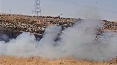 ŞIRNAK (AA) – Şırnak'ın İdil ilçesinde, Ziraat Fakültesi bahçesinde başlayarak