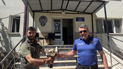 SİVAS (AA) – Sivas'ın Hafik ilçesinde polisler tarafından bulunan yaralı