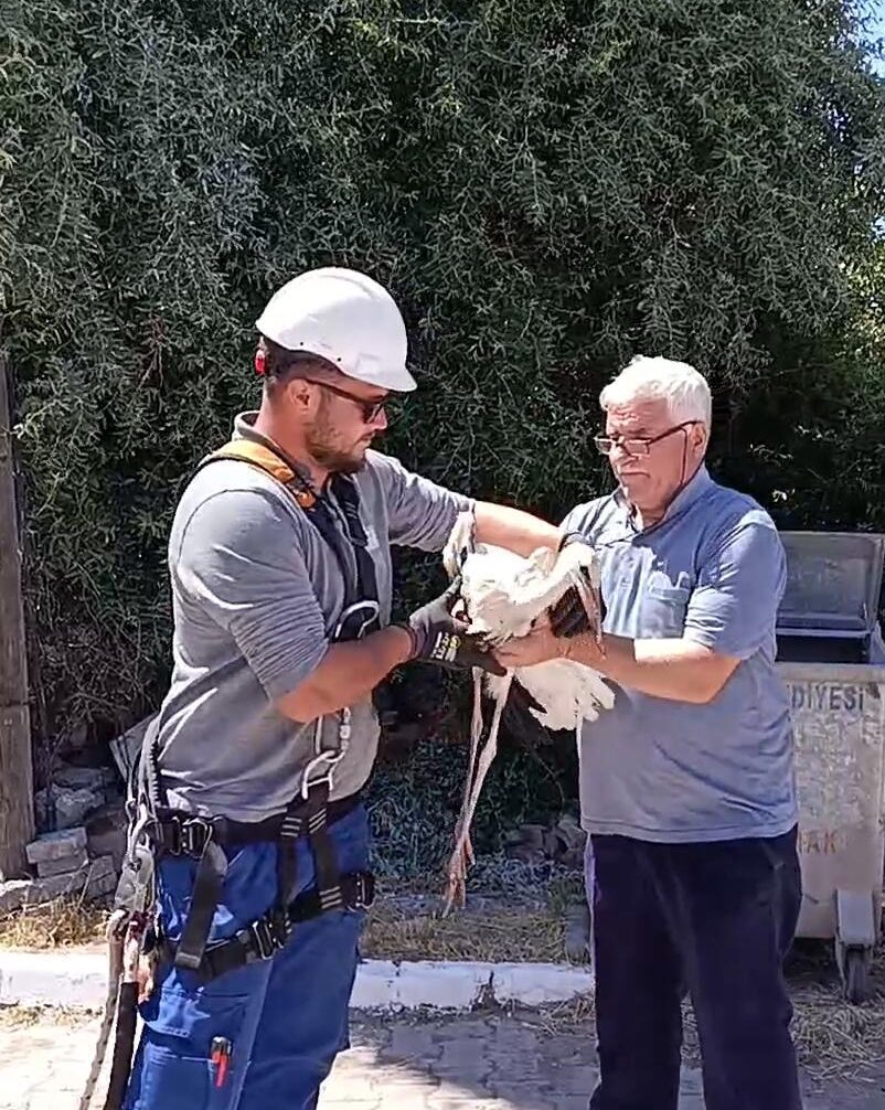 SİVAS (AA) – Sivas'ın Şarkışla ilçesine bağlı Cemel beldesinde yaralı