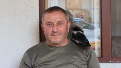 AMASYA (AA) – Amasya'da taksi şoförleri, bitkin halde bulup besledikleri