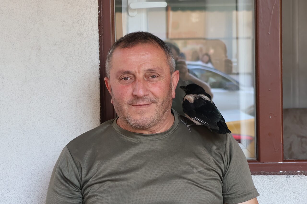 AMASYA (AA) – Amasya'da taksi şoförleri, bitkin halde bulup besledikleri