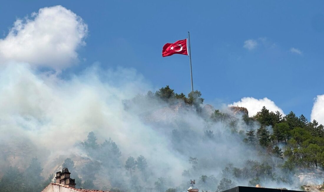 KÜTAHYA (AA) – Tarihi Kütahya Kalesi'ndeki ağaçlık ve otluk alanda