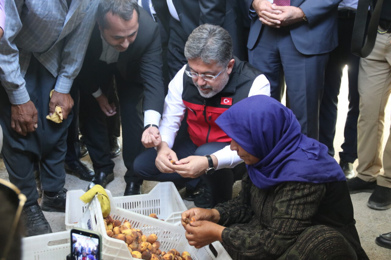- "Kayısı çok önemli ürünlerden bir tanesi. Neden? Çünkü biz