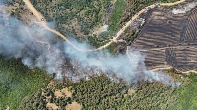TEKİRDAĞ (AA) – Tekirdağ'da anızda başlayıp ormanlık alana sıçrayan yangın