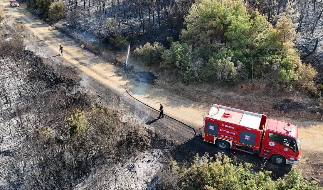 - Yangında yaklaşık 80 dekar ormanlık alan zarar gördü