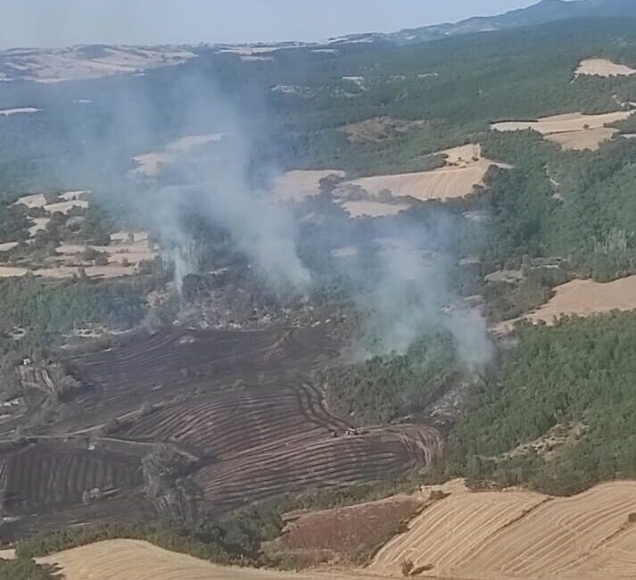 - Yangında 90 dekar alan zarar gördü