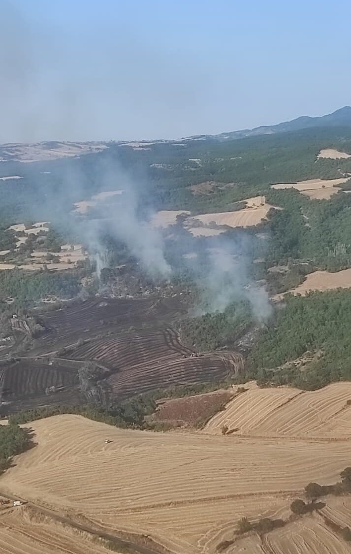 - Yangında 90 dekar alan zarar gördü