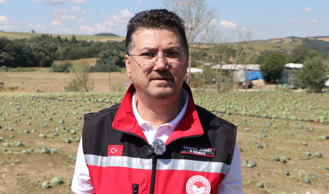 TEKİRDAĞ (AA) – Tekirdağ'ın Süleymanpaşa ilçesinde dün etkili olan dolunun