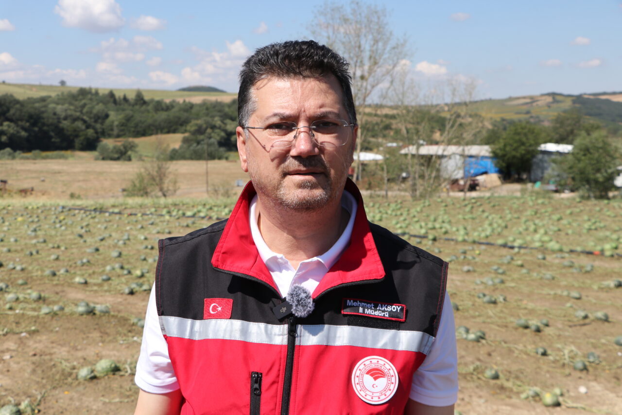 TEKİRDAĞ (AA) – Tekirdağ'ın Süleymanpaşa ilçesinde dün etkili olan dolunun