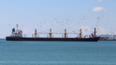 - Geminin bekleme süresi bitiminde hareket etmemesi halinde Kıyı Emniyeti