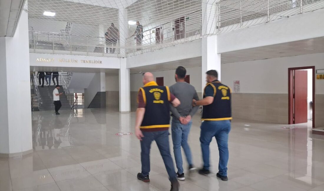 TOKAT (AA) – Tokat'ın Niksar ilçesinde, nitelikli yağma iddiasıyla gözaltına
