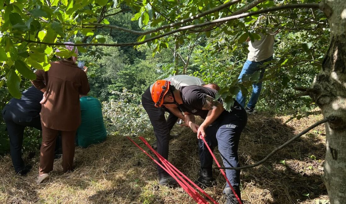 TRABZON (AA) – Trabzon'un Akçaabat ilçesinde yamaçtan yuvarlanan inek, itfaiye