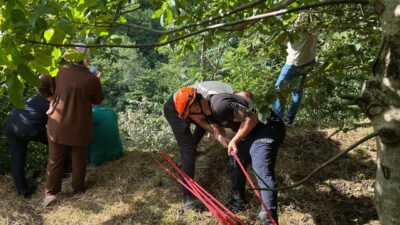 TRABZON (AA) – Trabzon'un Akçaabat ilçesinde yamaçtan yuvarlanan inek, itfaiye