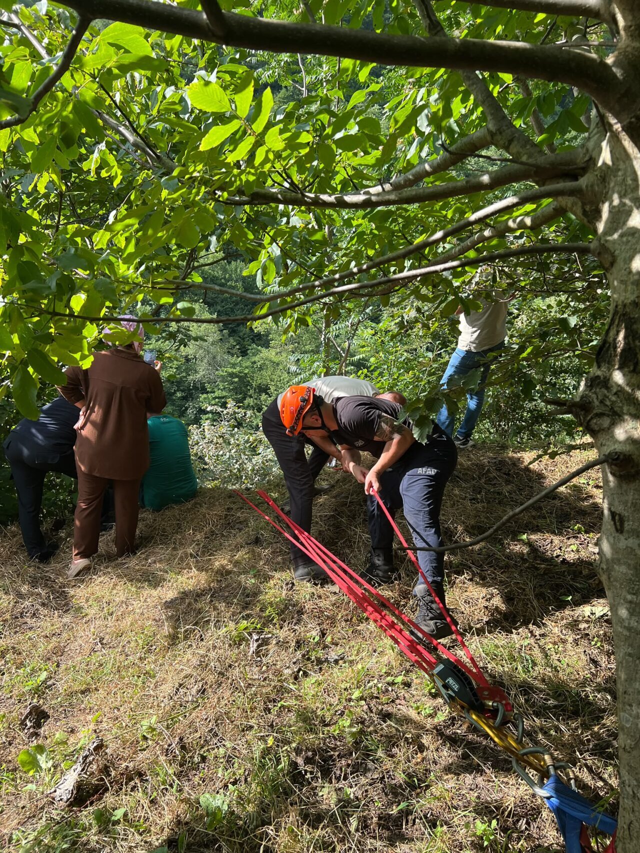 TRABZON (AA) – Trabzon'un Akçaabat ilçesinde yamaçtan yuvarlanan inek, itfaiye