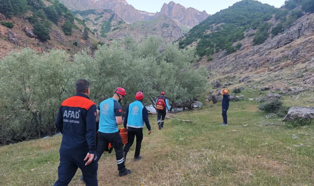 TUNCELİ (AA) – Tunceli’nin Pülümür ilçesinde dağlık alanda ayağı kırılan