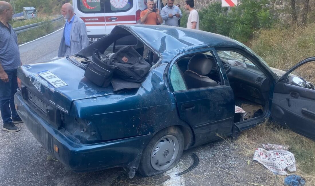 TUNCELİ (AA) – Tunceli'nin Pülümür ilçesinde otomobilin kayalık alana çarpıp