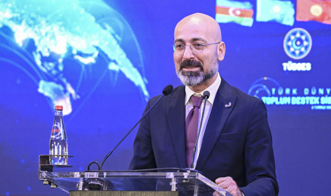 - AK Parti Genel Başkan Yardımcısı ve Türk Devletleri ile