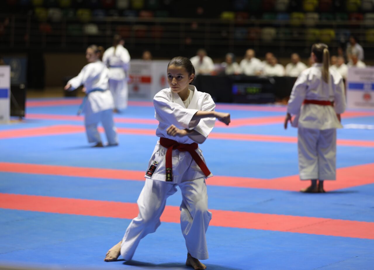 SAMSUN (AA) – Türkiye Karate Federasyonu faaliyet raporunda yer alan