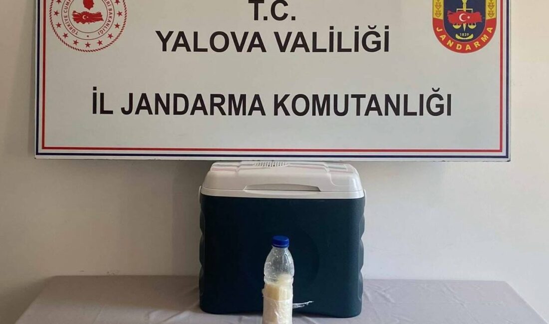 YALOVA (AA) – Yalova'da düzenlenen kaçakçılık operasyonunda 500 gram akrep