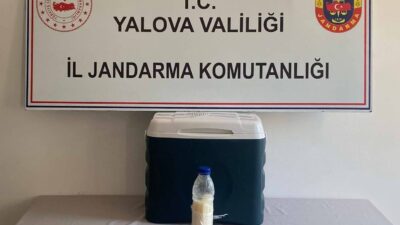 YALOVA (AA) – Yalova'da düzenlenen kaçakçılık operasyonunda 500 gram akrep