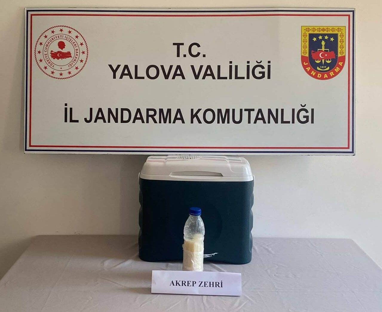 YALOVA (AA) – Yalova'da düzenlenen kaçakçılık operasyonunda 500 gram akrep