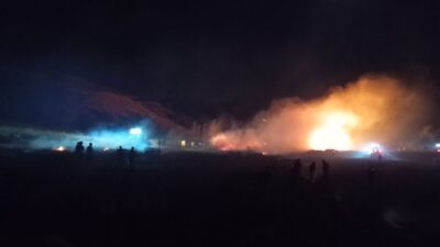 YOZGAT (AA) – Yozgat'ın Aydıncık ilçesinde hububat ekili alanda çıkan