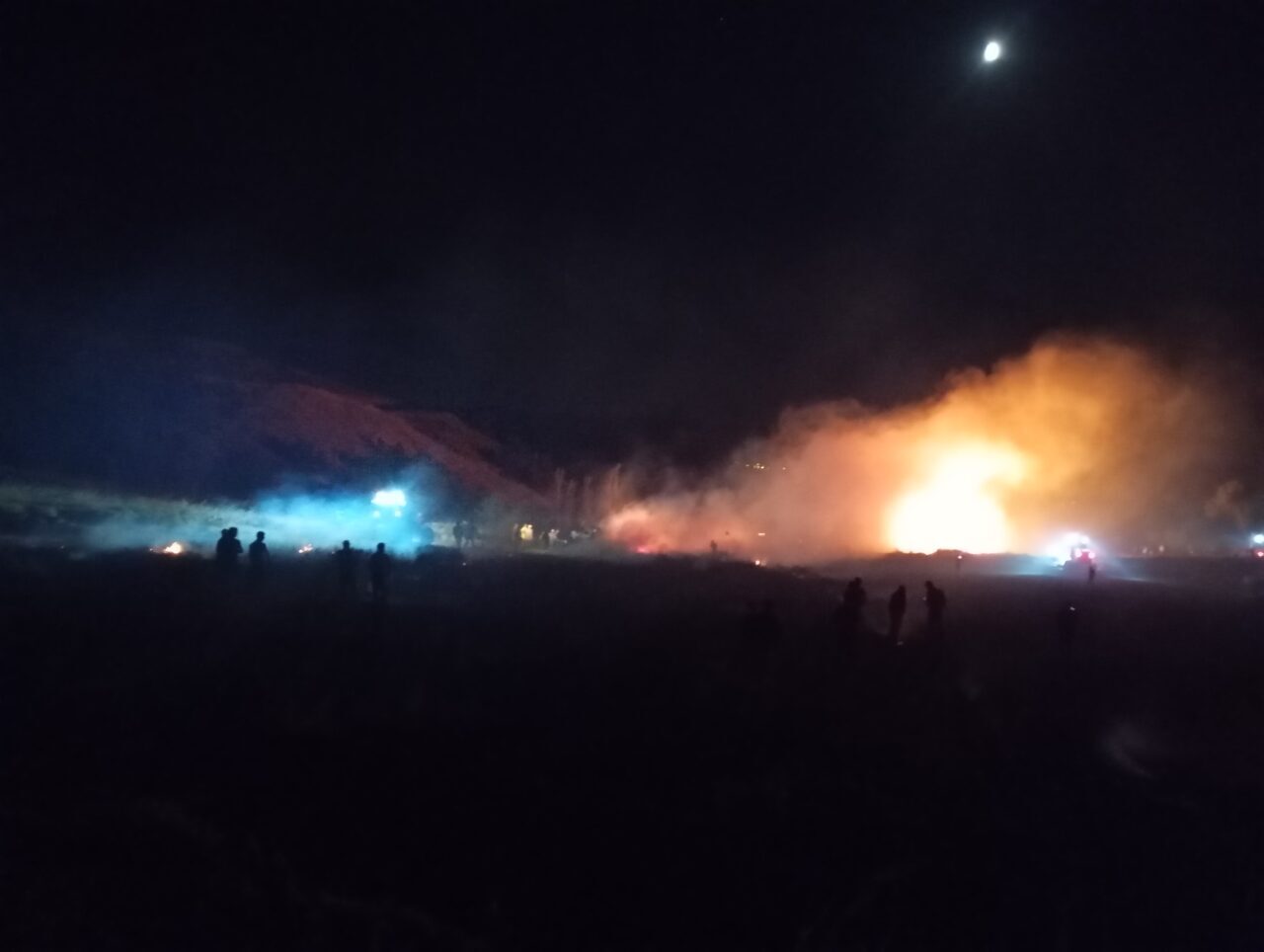 YOZGAT (AA) – Yozgat'ın Aydıncık ilçesinde hububat ekili alanda çıkan