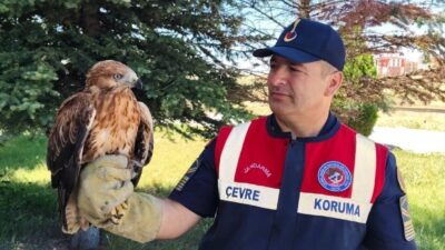 YOZGAT (AA) – Yozgat'ın Yenifakılı ilçesinde vatandaşlar tarafından yaralı bulunan