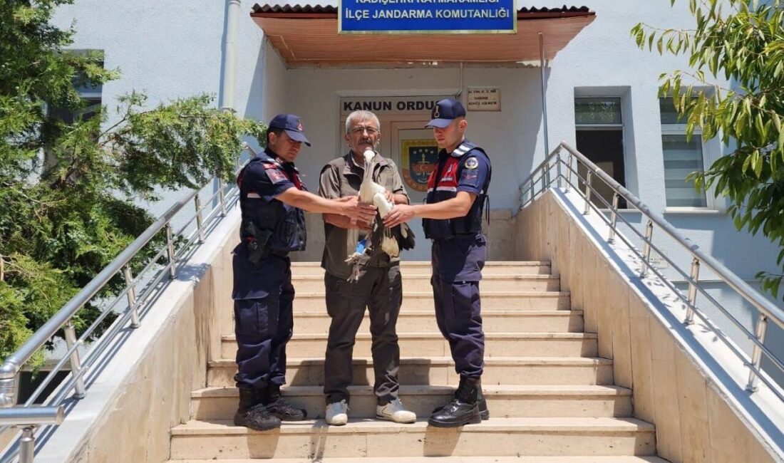 YOZGAT (AA) – Yozgat'ın Kadışehri ilçesinde yaralı bulunan leylek, tedavisinin