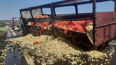 ADANA (AA) – Adana'nın Ceyhan ilçesinde arızalanan tırından inen sürücü,