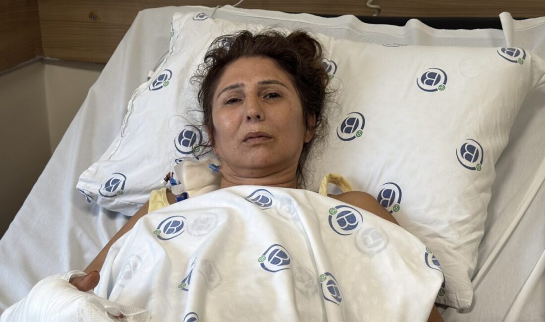 - Yoğun bakımdan çıkan Ayşe Katırcı:
- "Adalet yerini bulsun. Zanlının