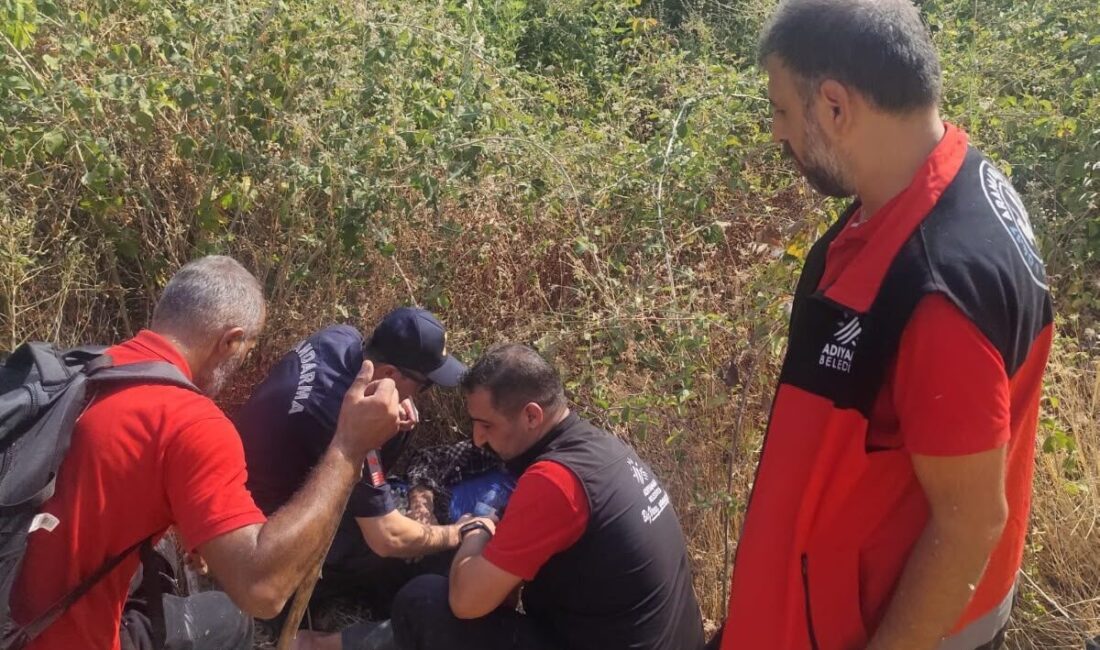 ADIYAMAN (AA) – Adıyaman'ın Besni ilçesinde kaybolan 85 yaşındaki Alzheimer