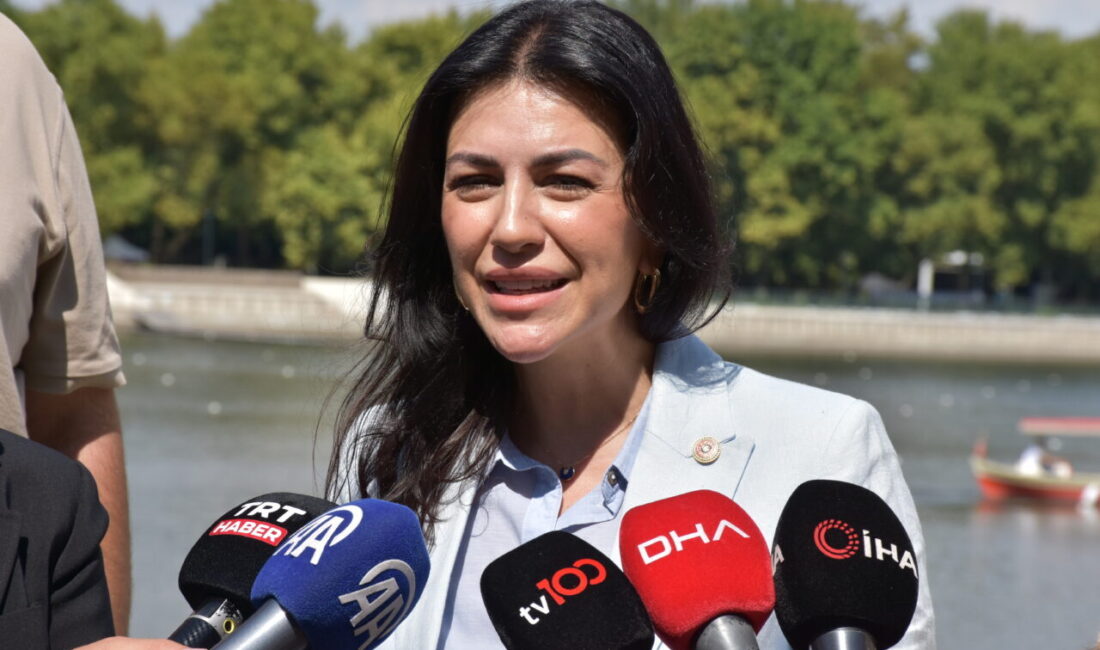 - "Biz bir millet bahçesi yapıyorsak, bir köprü, yol ya