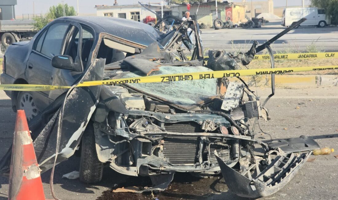 AKSARAY (AA) – Aksaray'ın Eskil ilçesinde otomobilin aydınlatma direğine çarpması