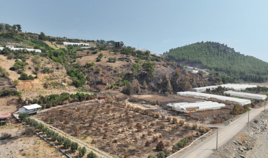 ANTALYA (AA) – Antalya Büyükşehir Belediyesi, Alanya ve Gazipaşa ilçelerinde
