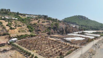 ANTALYA (AA) – Antalya Büyükşehir Belediyesi, Alanya ve Gazipaşa ilçelerinde