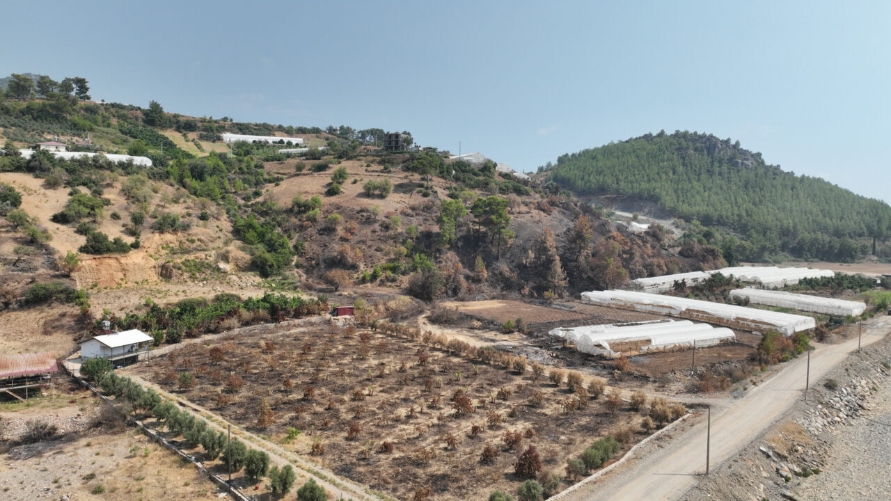 ANTALYA (AA) – Antalya Büyükşehir Belediyesi, Alanya ve Gazipaşa ilçelerinde