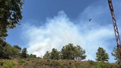 ANTALYA (AA) – Antalya'nın Alanya ilçesinde ormanlık alanda çıkan yangına