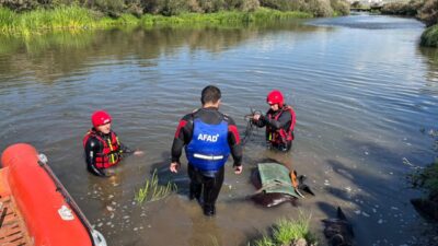 ARDAHAN (AA) – Ardahan'da Kura Nehri'nden atıyla geçmeye çalışırken kaybolan
