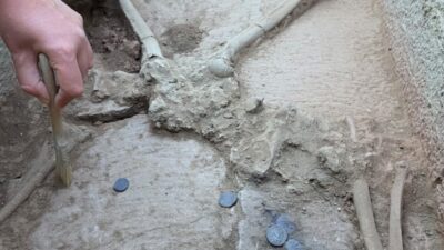 - Kültür ve Turizm Bakanı Mehmet Nuri Ersoy: 
- "Aspendos